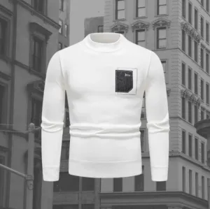 Hugo sweater - fashionable sweater for men
