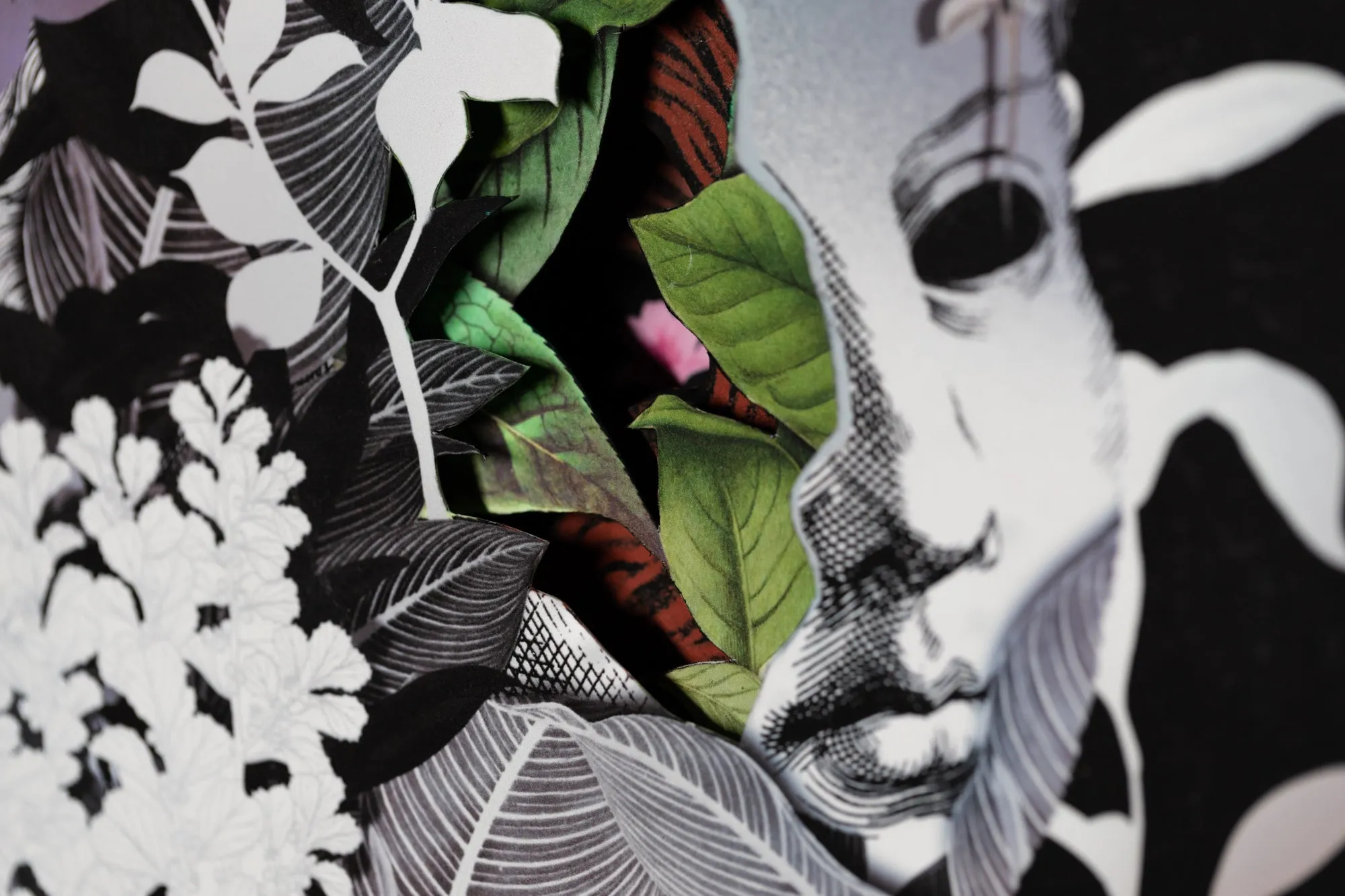 Hush