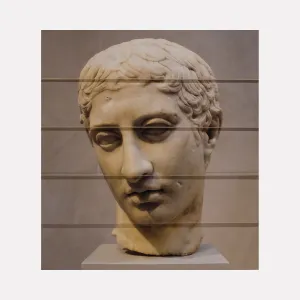 Layered Head of a Youth