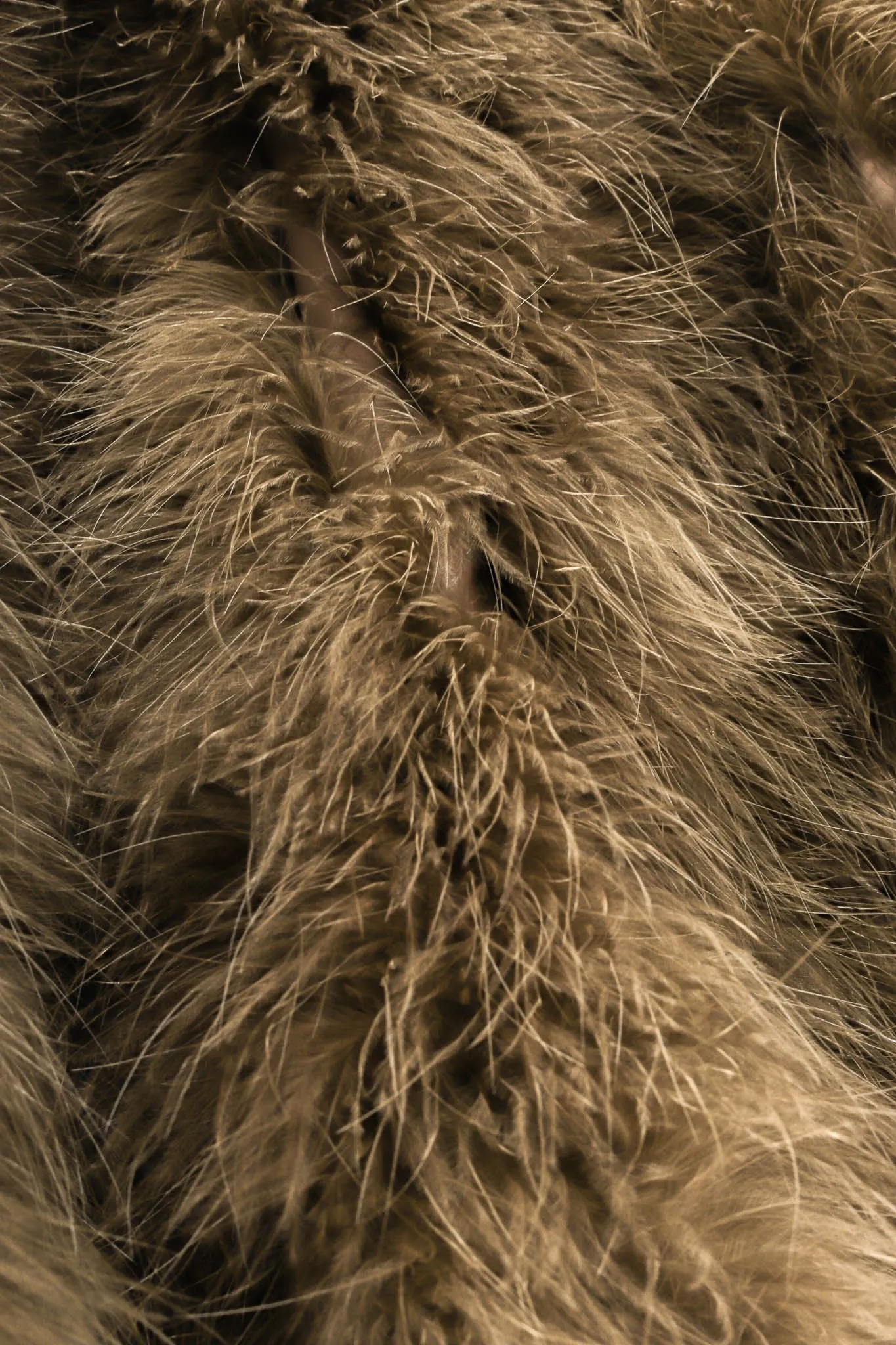 Moss Marabou Feather Coat
