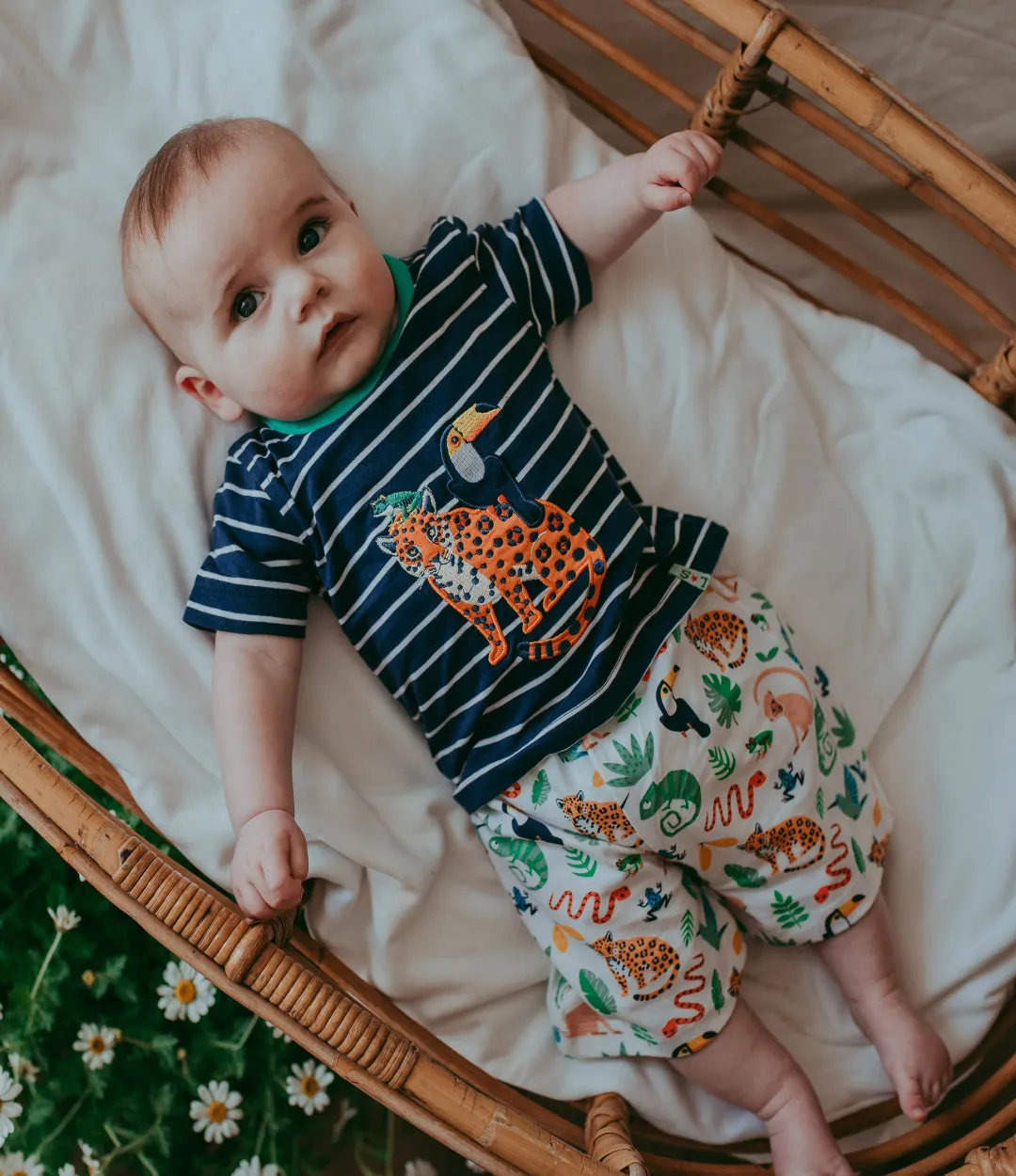 Multicoloured Animal Safari Print Top And Short Set