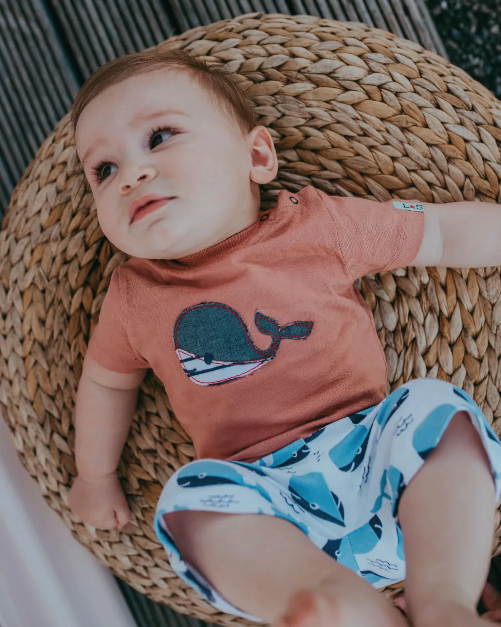 Multicoloured Whale Print Top And Short Set