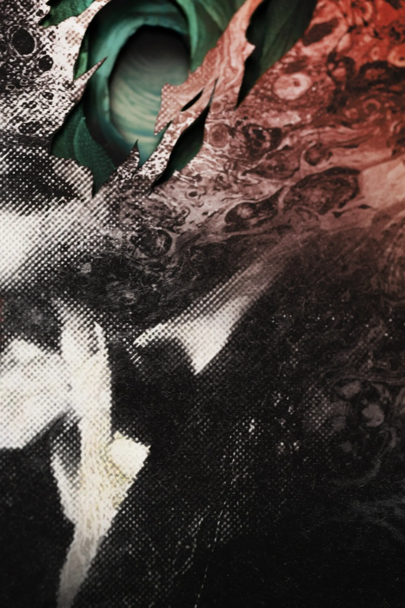 New Flesh 2