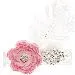 Princess Feather Tiara