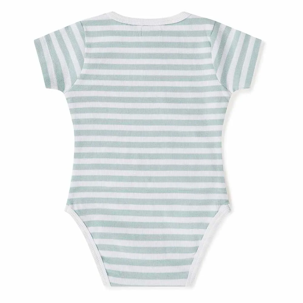 Sage Stripe SS Bodysuit