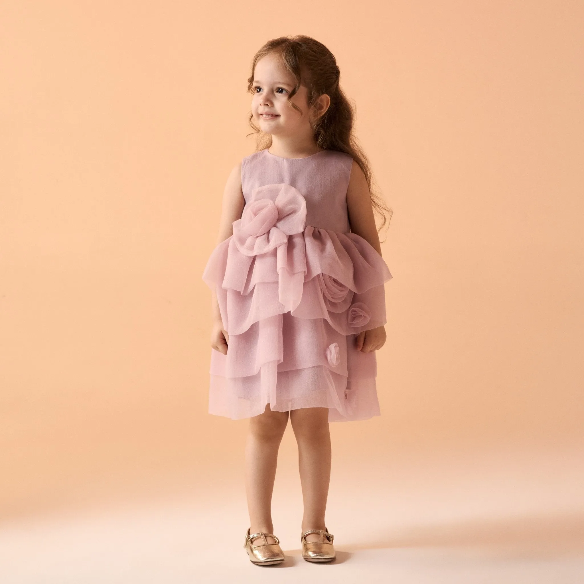 Sleeveless Layered Organza Dress