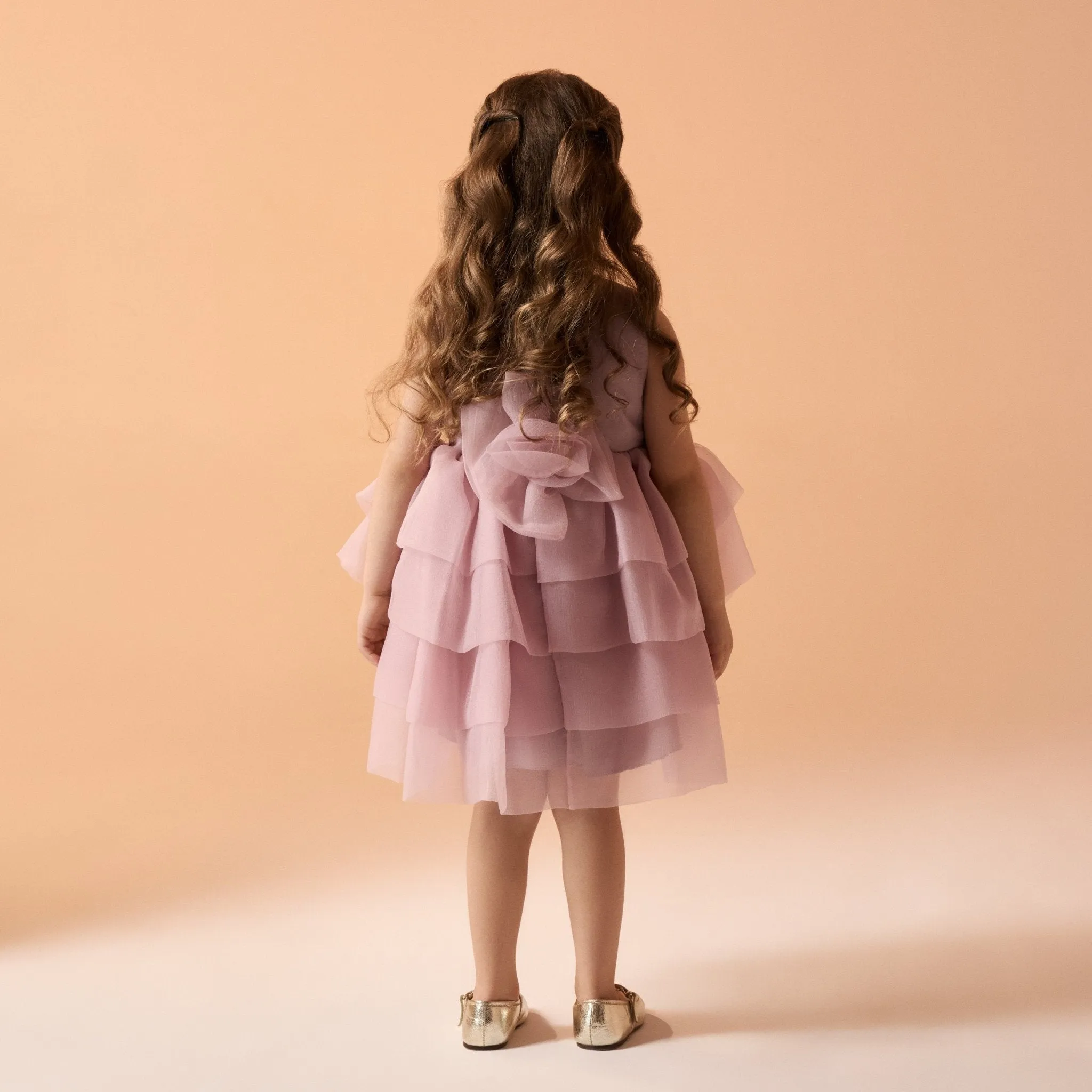 Sleeveless Layered Organza Dress