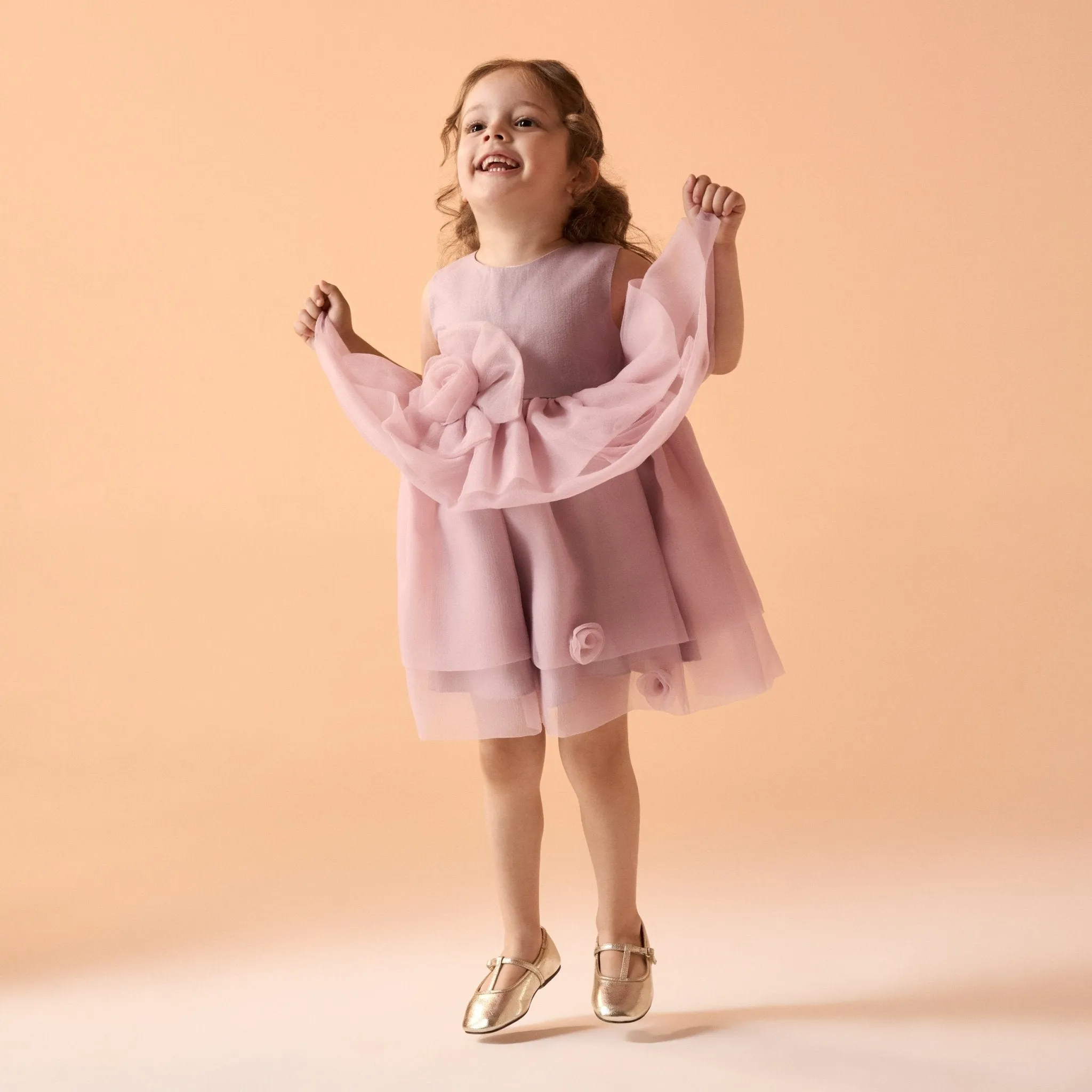 Sleeveless Layered Organza Dress