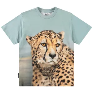 T-shirts Short sleeves Rubin Big Cheetah Blue