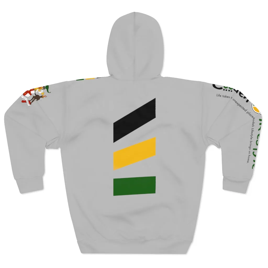 Unisex Pullover Hoodie (YuhDunKnow-LTGRYJACOL)