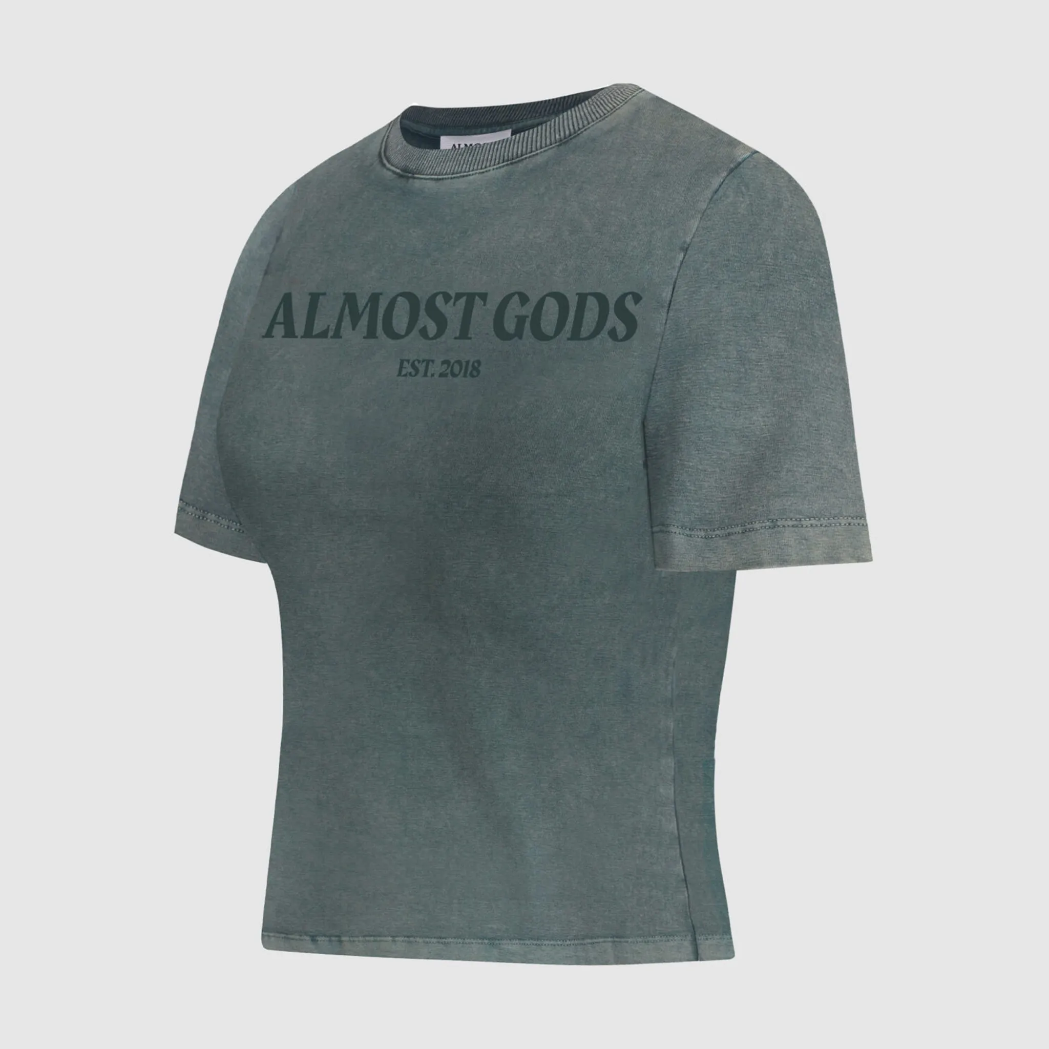 WOMEN'S STONEWASHED TEE (GRANITE)