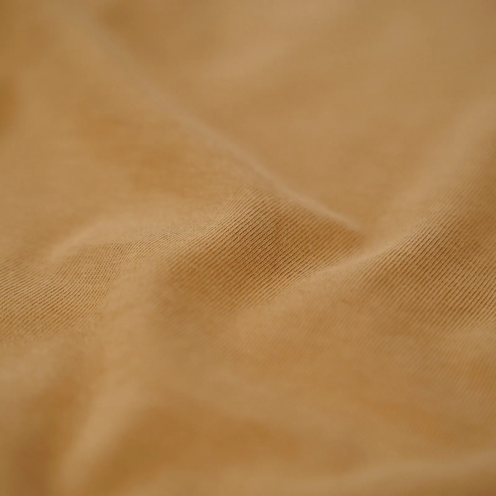 Wordmark Script Flocked Tee - Khaki